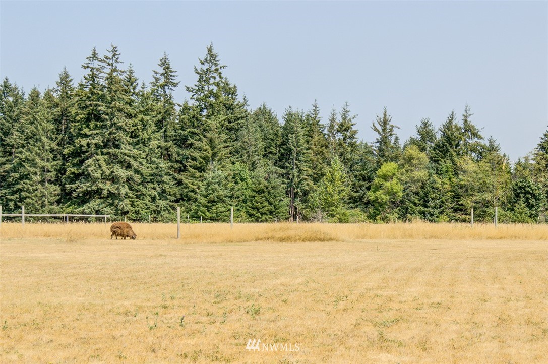 455 Russell Road Camano Island, WA 98282 - Photo 17 of 24 Gallery Image 17