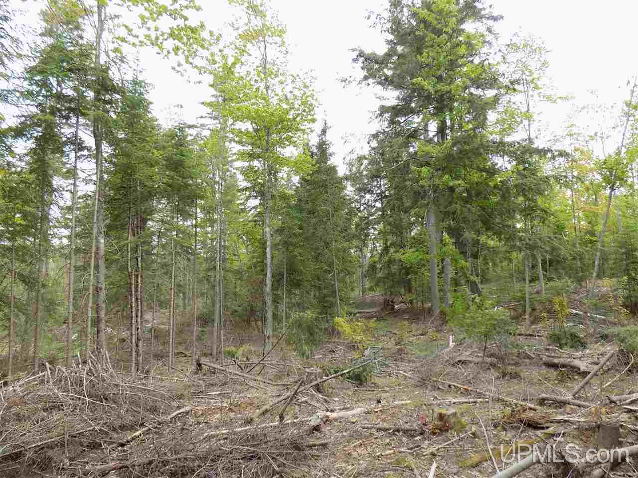 Tbd Slim's Road, Unit PARCEL B Manistique, MI 49854 - Photo 8 of 21