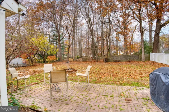 a view of a yard with trees