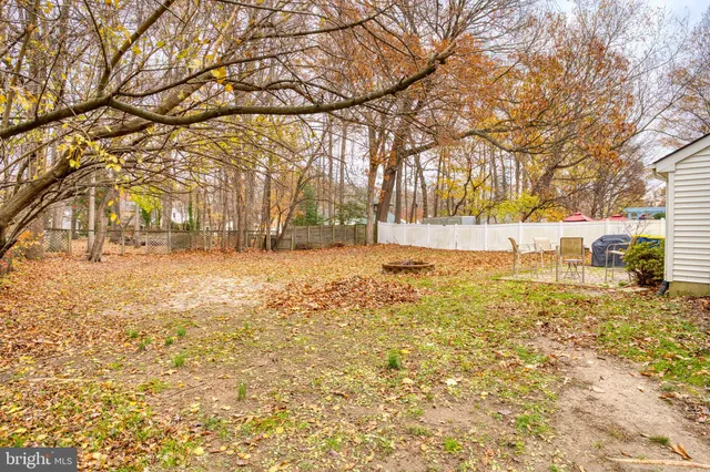 a view of yard covered with trees