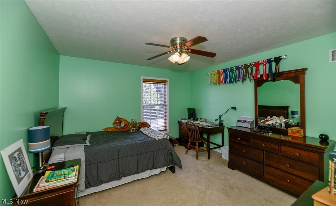 789 Brook Road Wadsworth, OH 44281 - Photo 31 of 34 Gallery Image 31