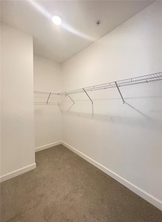 12072 Via Caselli Lane Windermere, FL 34786 - Photo 21 of 29