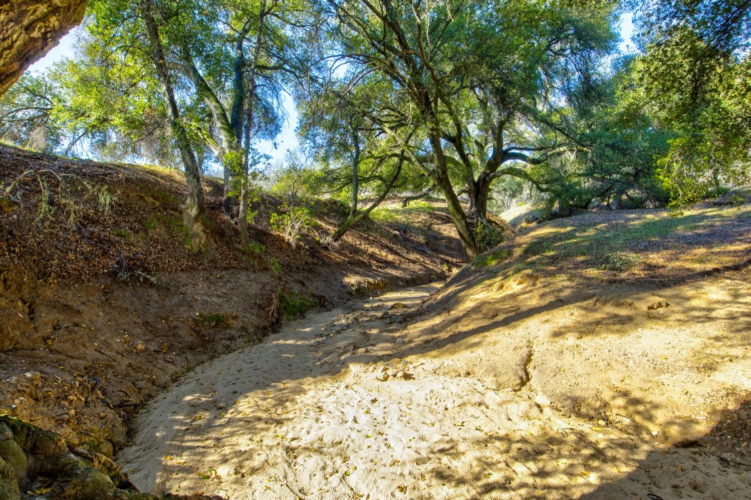 0 Lynch Canyon Road Bradley, CA 93426 - Photo 11 of 83 a view of a yard with large trees