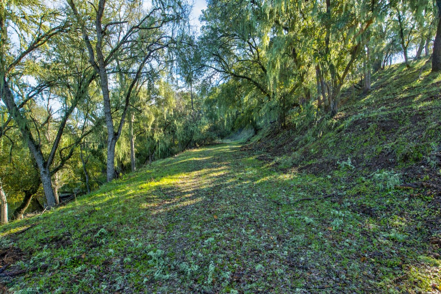 0 Lynch Canyon Road Bradley, CA 93426 - Photo 15 of 83 a view of yard with green space