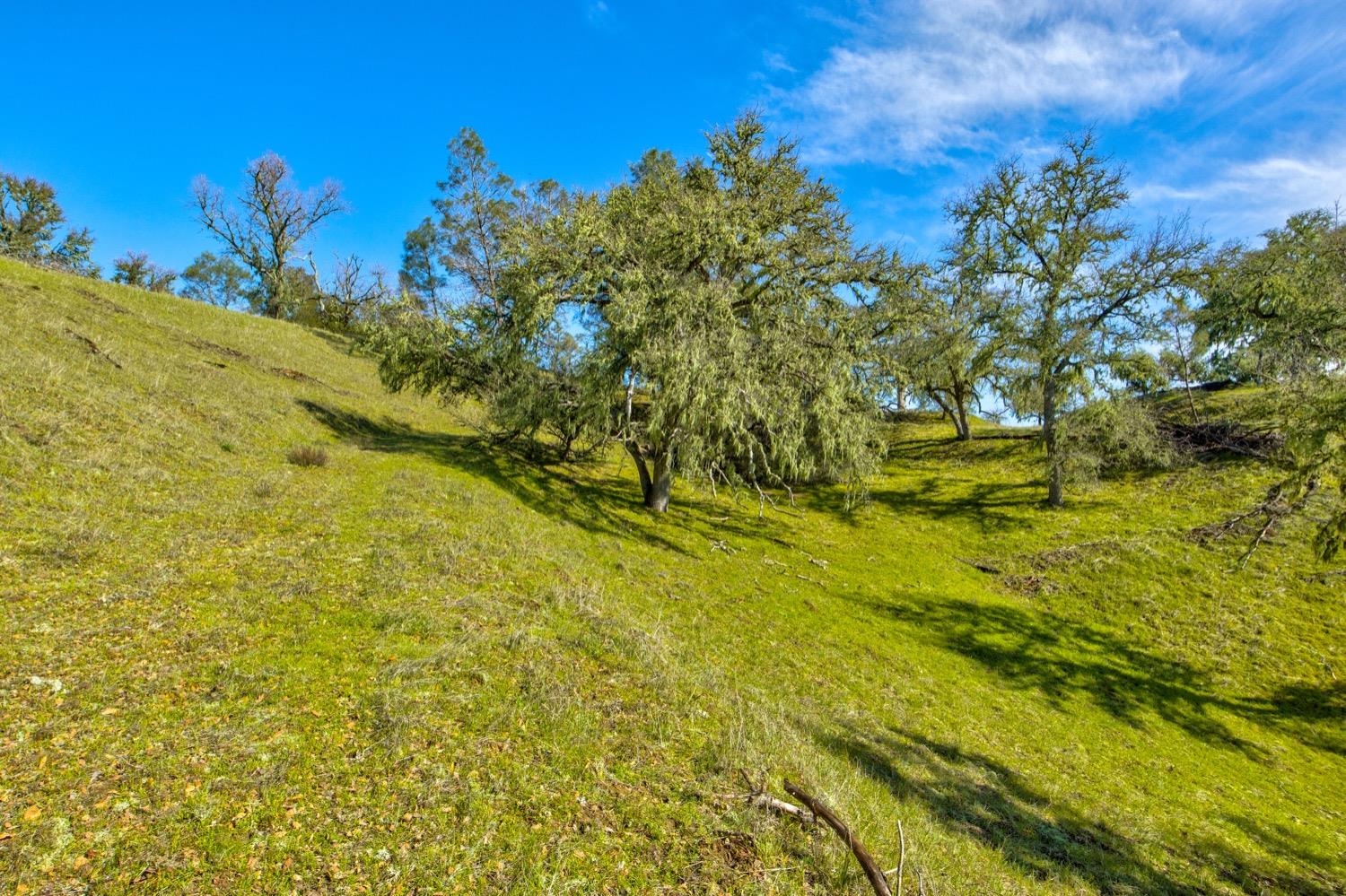 0 Lynch Canyon Road Bradley, CA 93426 - Photo 20 of 83