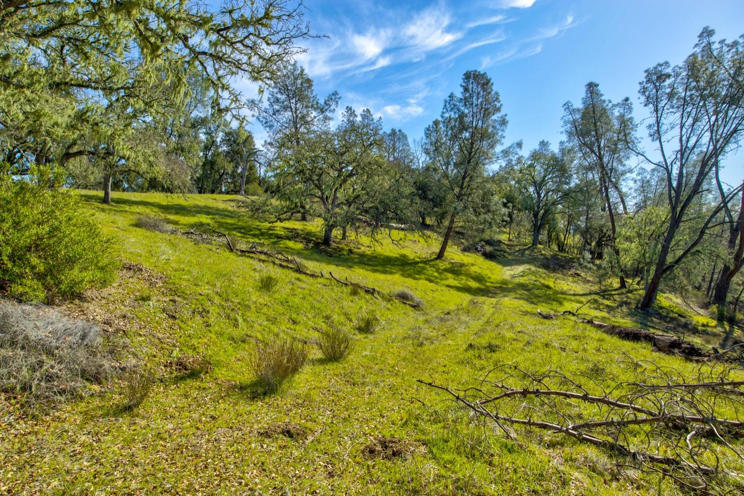 0 Lynch Canyon Road Bradley, CA 93426 - Photo 21 of 83