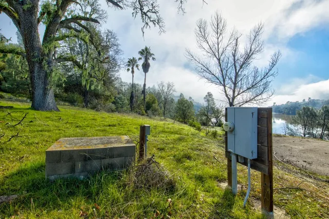 an aerial view of houses covered in trees