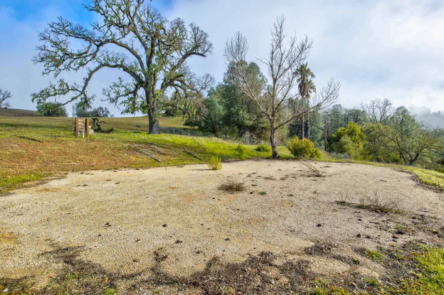 0 Lynch Canyon Road Bradley, CA 93426 - Photo 27 of 83 a view of dirt yard with a large tree