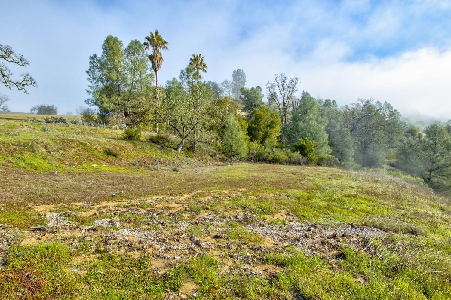 0 Lynch Canyon Road Bradley, CA 93426 - Photo 29 of 83