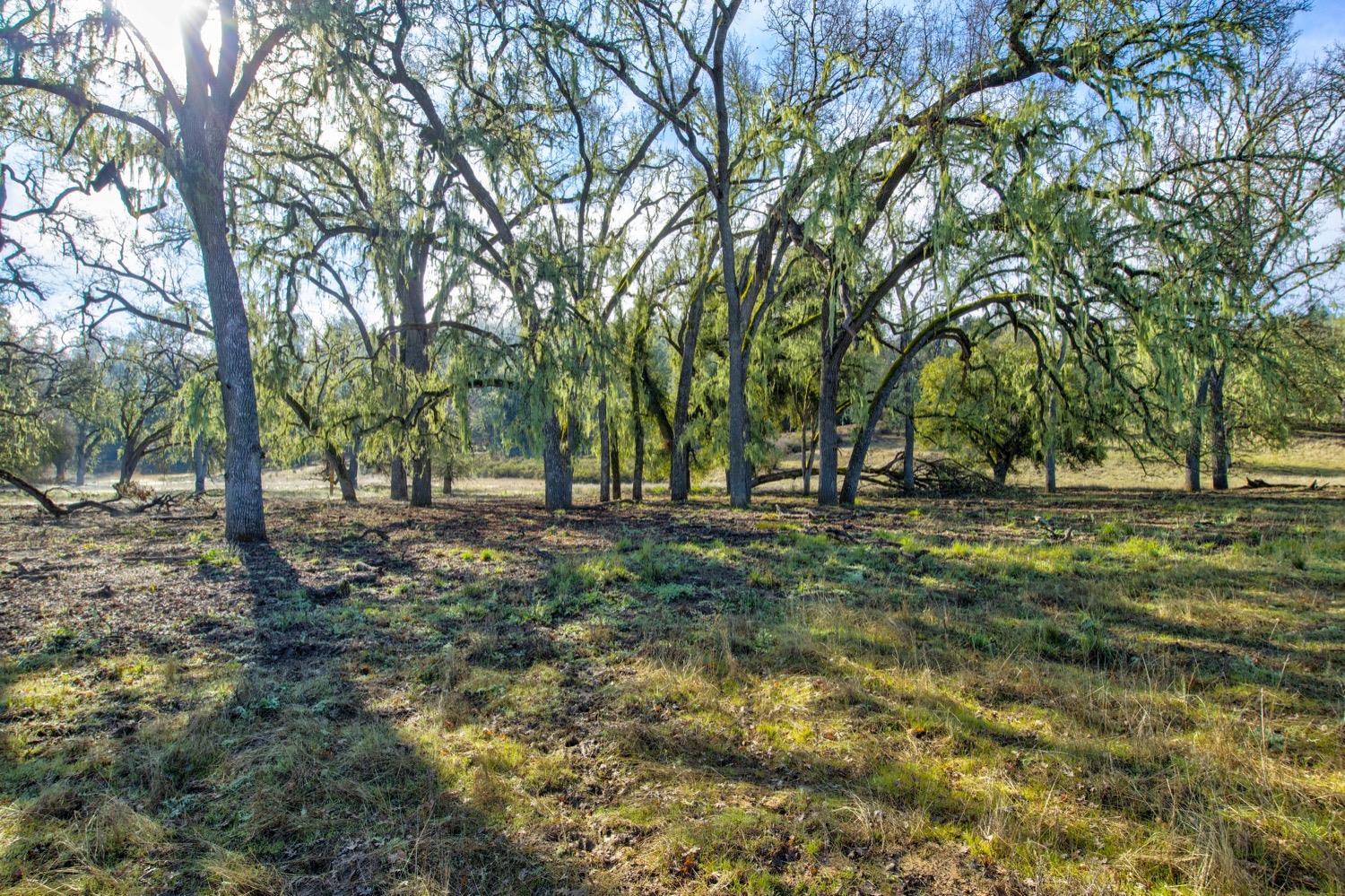0 Lynch Canyon Road Bradley, CA 93426 - Photo 3 of 83 a view of outdoor space with trees