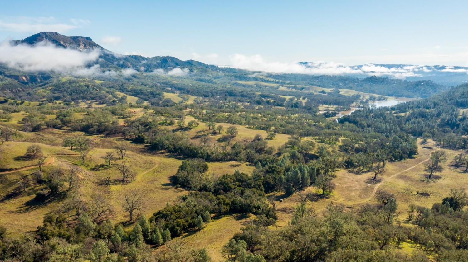 0 Lynch Canyon Road Bradley, CA 93426 - Photo 38 of 83 a view of a lot of trees and houses