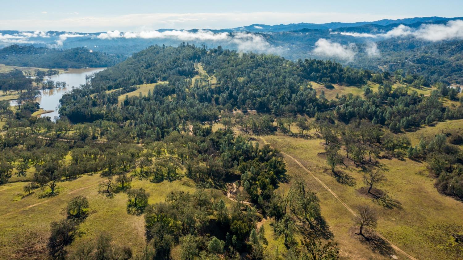 0 Lynch Canyon Road Bradley, CA 93426 - Photo 40 of 83 an aerial view of houses covered in trees