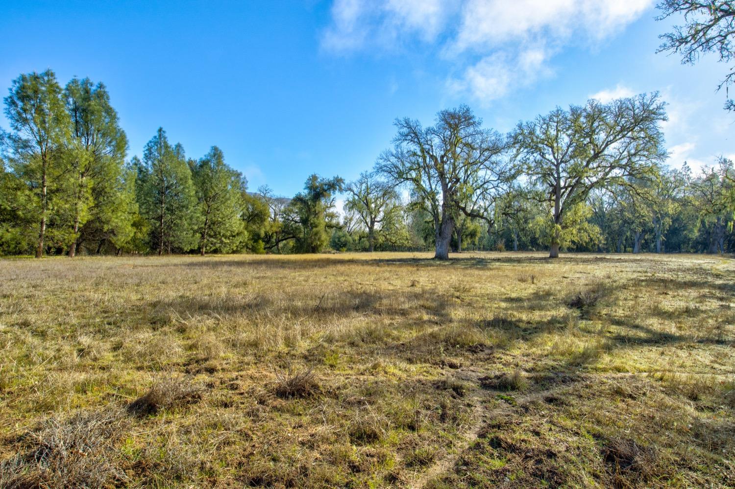 0 Lynch Canyon Road Bradley, CA 93426 - Photo 4 of 83 a view of a field with trees in background