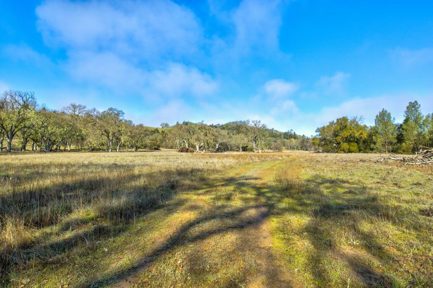 0 Lynch Canyon Road Bradley, CA 93426 - Photo 5 of 83 a view of lake with green space