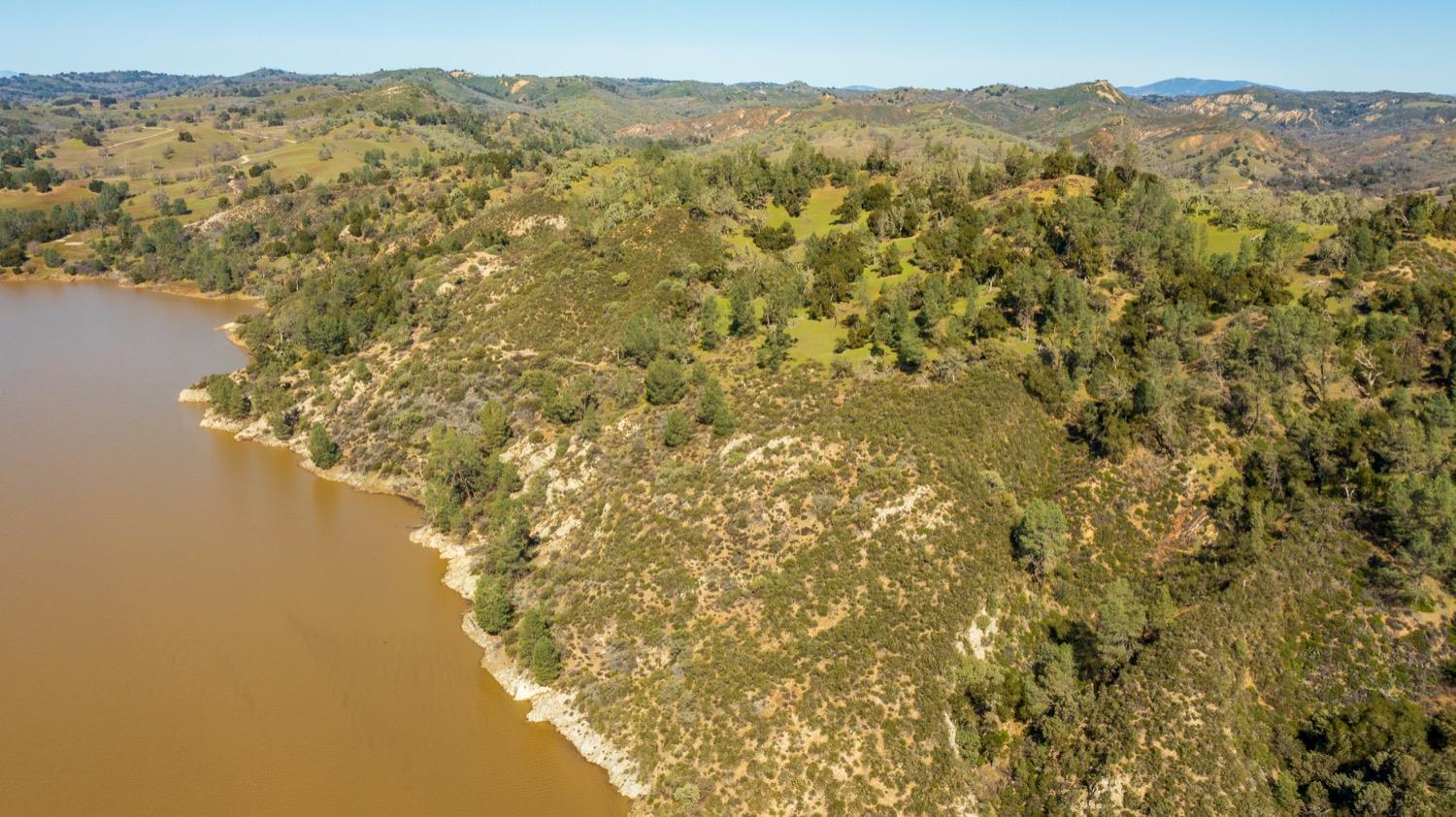 0 Lynch Canyon Road Bradley, CA 93426 - Photo 56 of 83 a view of a forest with a mountain