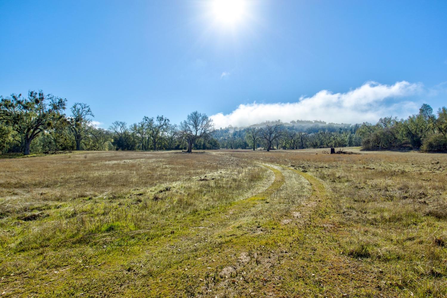 0 Lynch Canyon Road Bradley, CA 93426 - Photo 8 of 83 a view of a field with an ocean