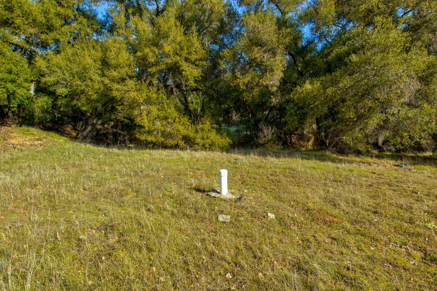 0 Lynch Canyon Road Bradley, CA 93426 - Photo 10 of 83