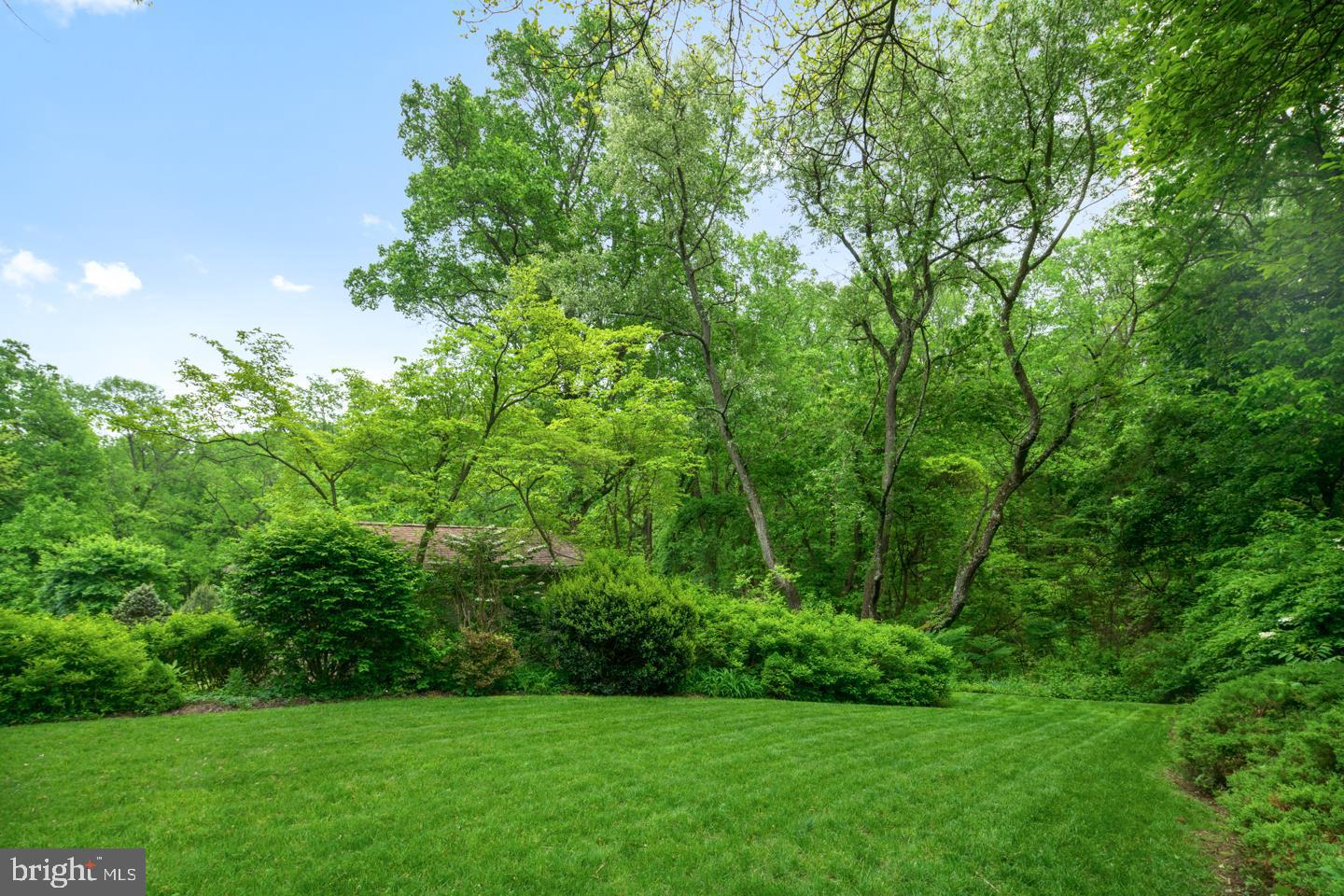 8406 Chippewa Road Philadelphia, PA 19128 - Photo 35 of 38 Back yard