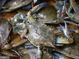 $3,300 | 1219 Bayside Road, Baltimore, MD 21221