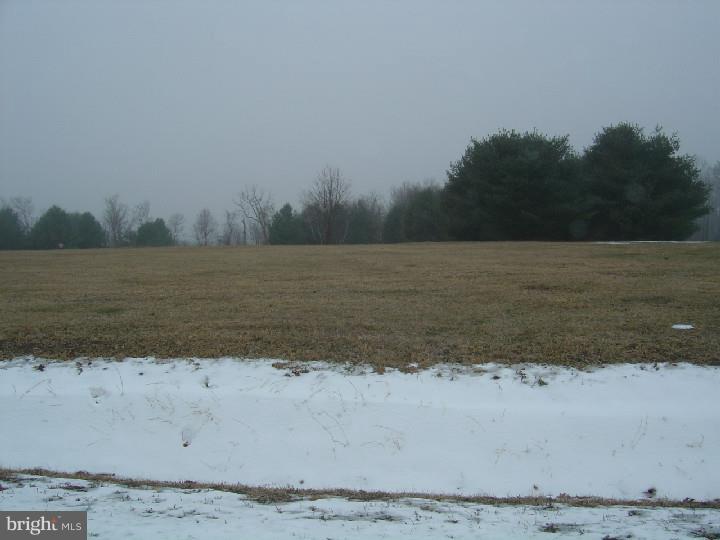 24 Ricks Road New Ringgold, PA 17960 - Photo 11 of 12 Gallery Image 11
