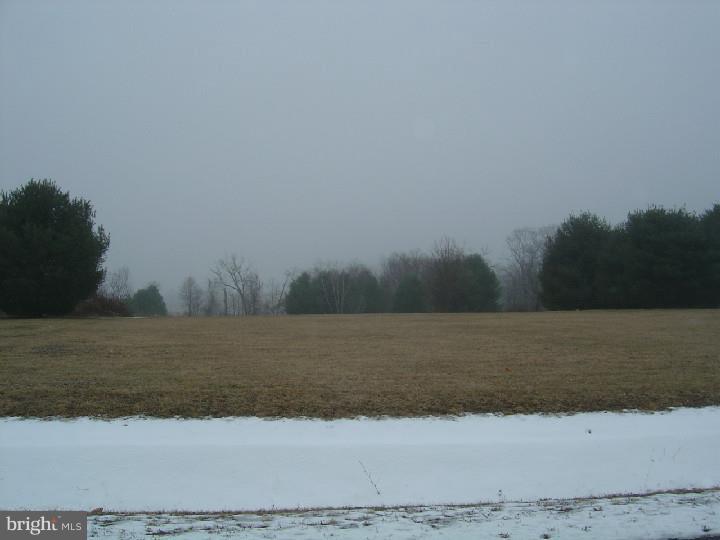 24 Ricks Road New Ringgold, PA 17960 - Photo 10 of 12 Gallery Image 10