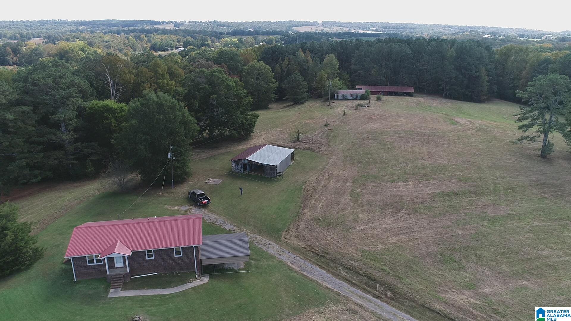 404 Kornegay Road Oneonta, AL 35121 - Photo 2 of 44