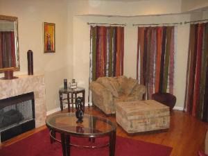 4451 South Indiana Avenue, Unit 2S Chicago, IL 60653 - Photo 4 of 4 a living room with furniture and a fireplace