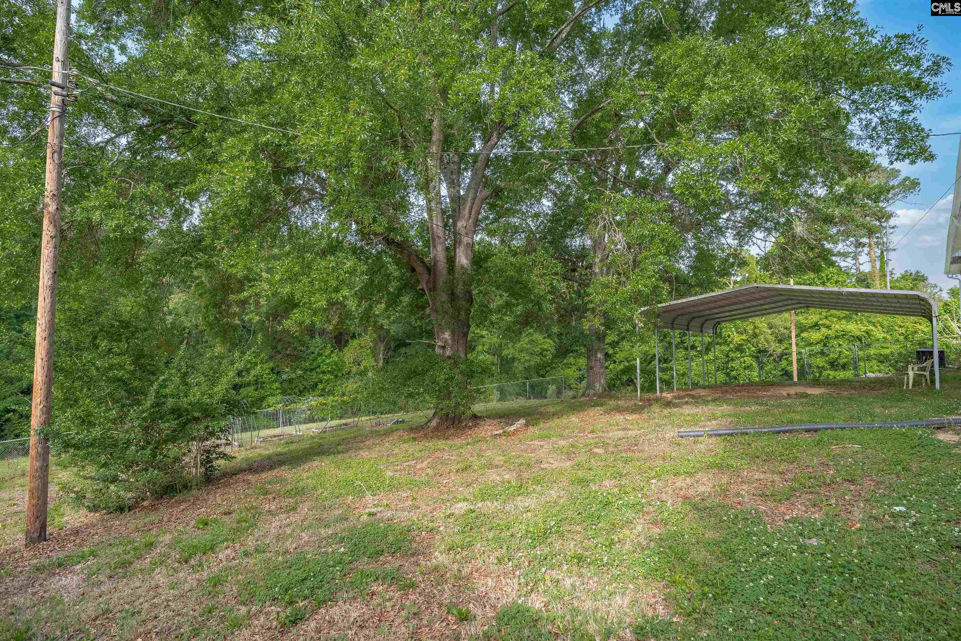 220 Nance Street Whitmire, SC 29178 - Photo 36 of 44