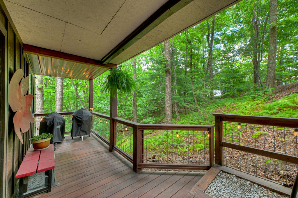 9 Casey Court Blue Ridge, GA 30513 - Photo 40 of 52 Gallery Image 40