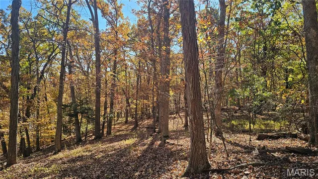 $11,500 | 60 North Lake Sherwood Drive, Lake Sherwood, MO 63357