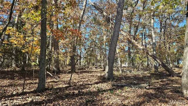 $11,500 | 60 North Lake Sherwood Drive, Lake Sherwood, MO 63357