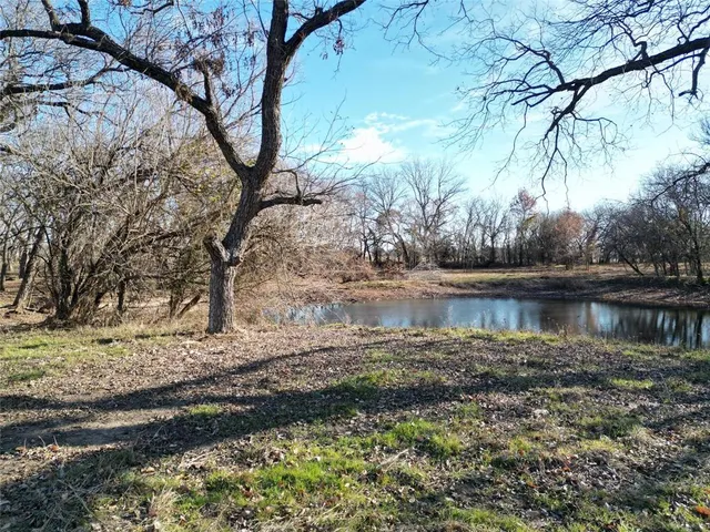a view of a yard with large trees