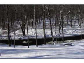 270 Middle Branch Road New Boston, NH 03070 - Photo 3 of 9