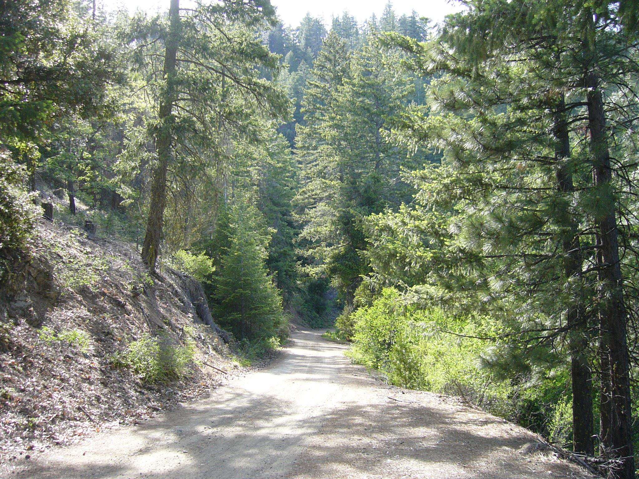 127 Acres Road Yreka, CA 96097 - Photo 3 of 24 Gallery Image 3
