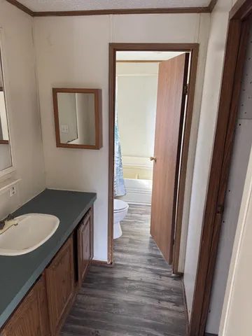 a bathroom with a sink a mirror and a toilet