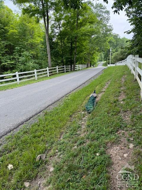 -tbd Bates Hollow Road Broome, NY 12469 - Photo 3 of 7 Photo 3