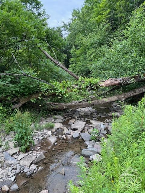 -tbd Bates Hollow Road Broome, NY 12469 - Photo 5 of 7 Photo 5