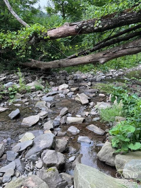 -tbd Bates Hollow Road Broome, NY 12469 - Photo 6 of 7 Photo 6