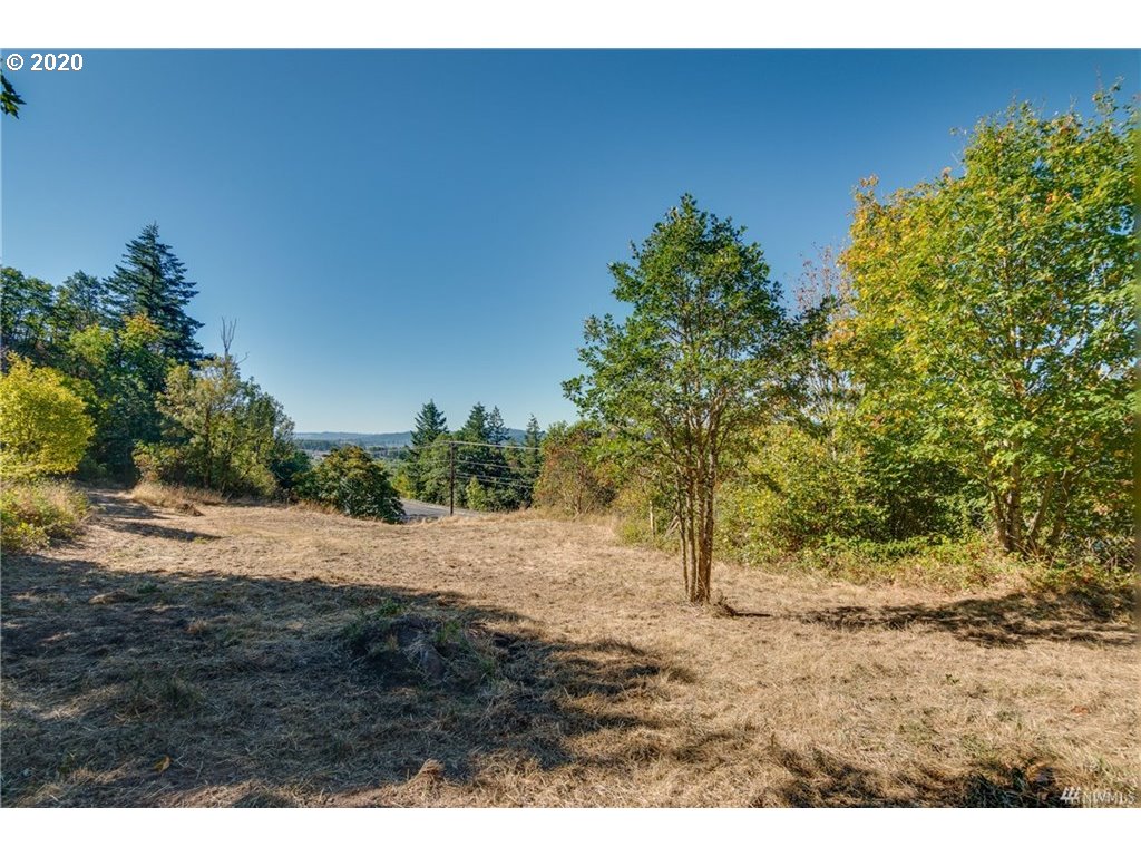 0 Risley Road, Unit 3 Kelso, WA 98626 - Photo 8 of 26 Gallery Image 8
