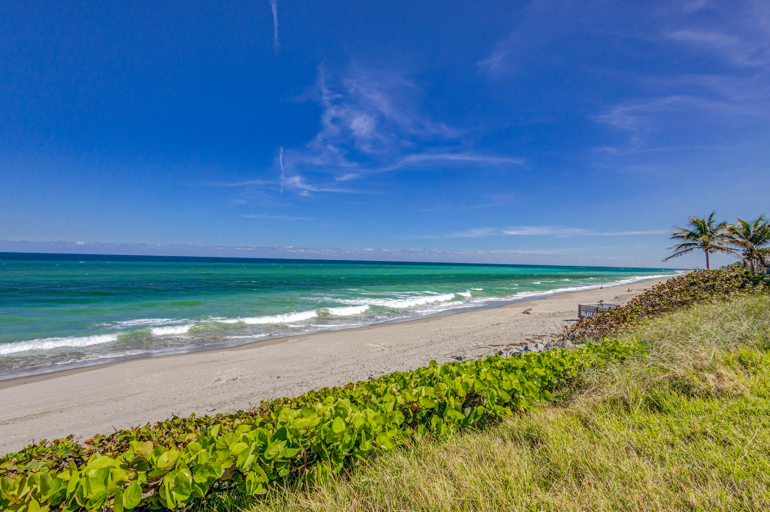 400 South Beach Road, Unit 804 Tequesta, FL 33469 - Photo 49 of 65 Rear View