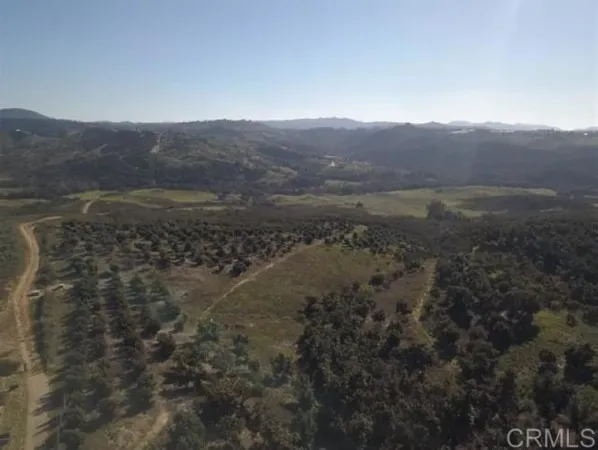 a view of a dry yard