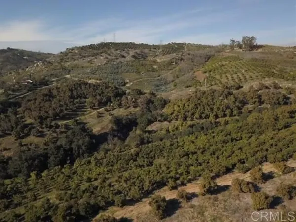 a view of a mountain range with trees