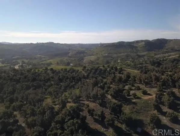 a view of a city with lush green forest