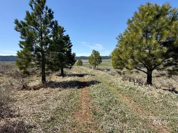 $199,999 | L3-b1 Lantern Way, Cascade, ID 83611