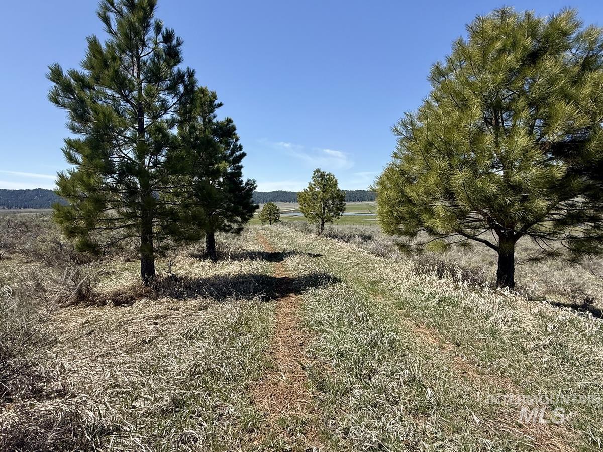 L3-b1 Lantern Way Cascade, ID 83611 - Photo 7 of 15