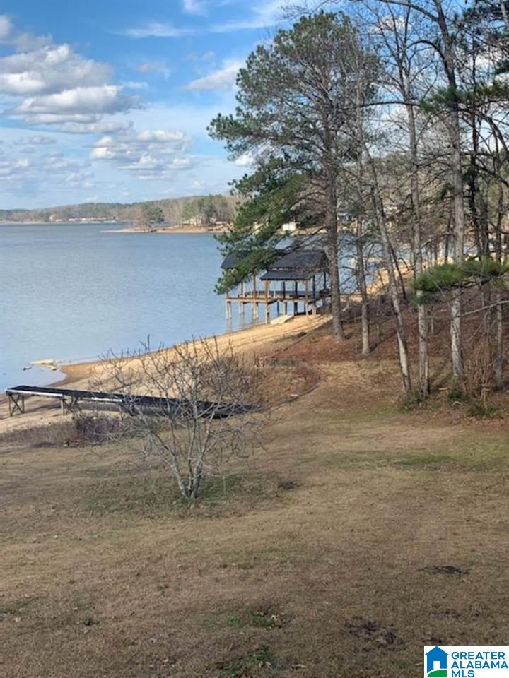 32 Cox Lane Alpine, AL 35014 - Photo 4 of 20