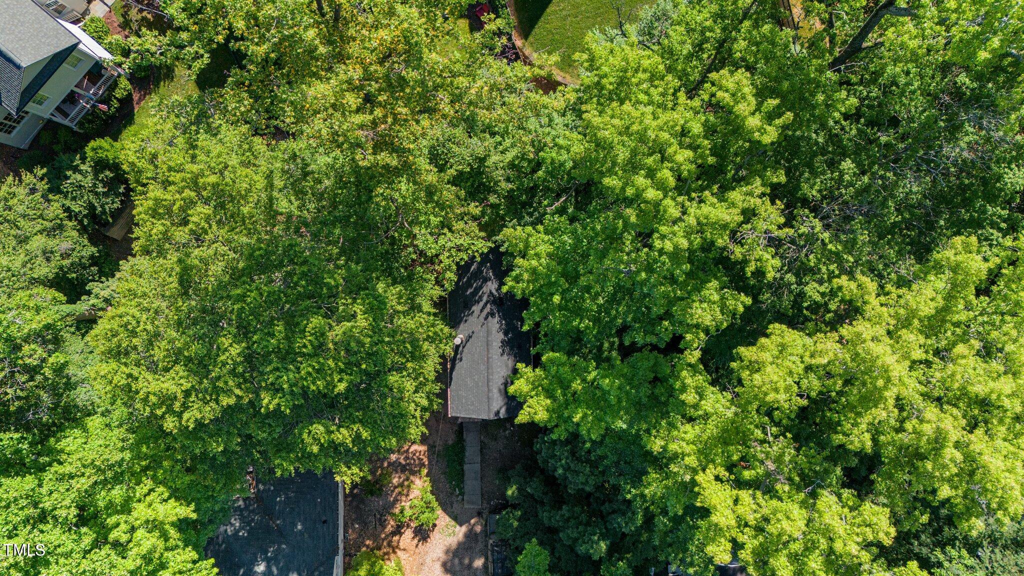 2110 Reaves Drive Raleigh, NC 27608 - Photo 29 of 36 a backyard of a house with lots of trees