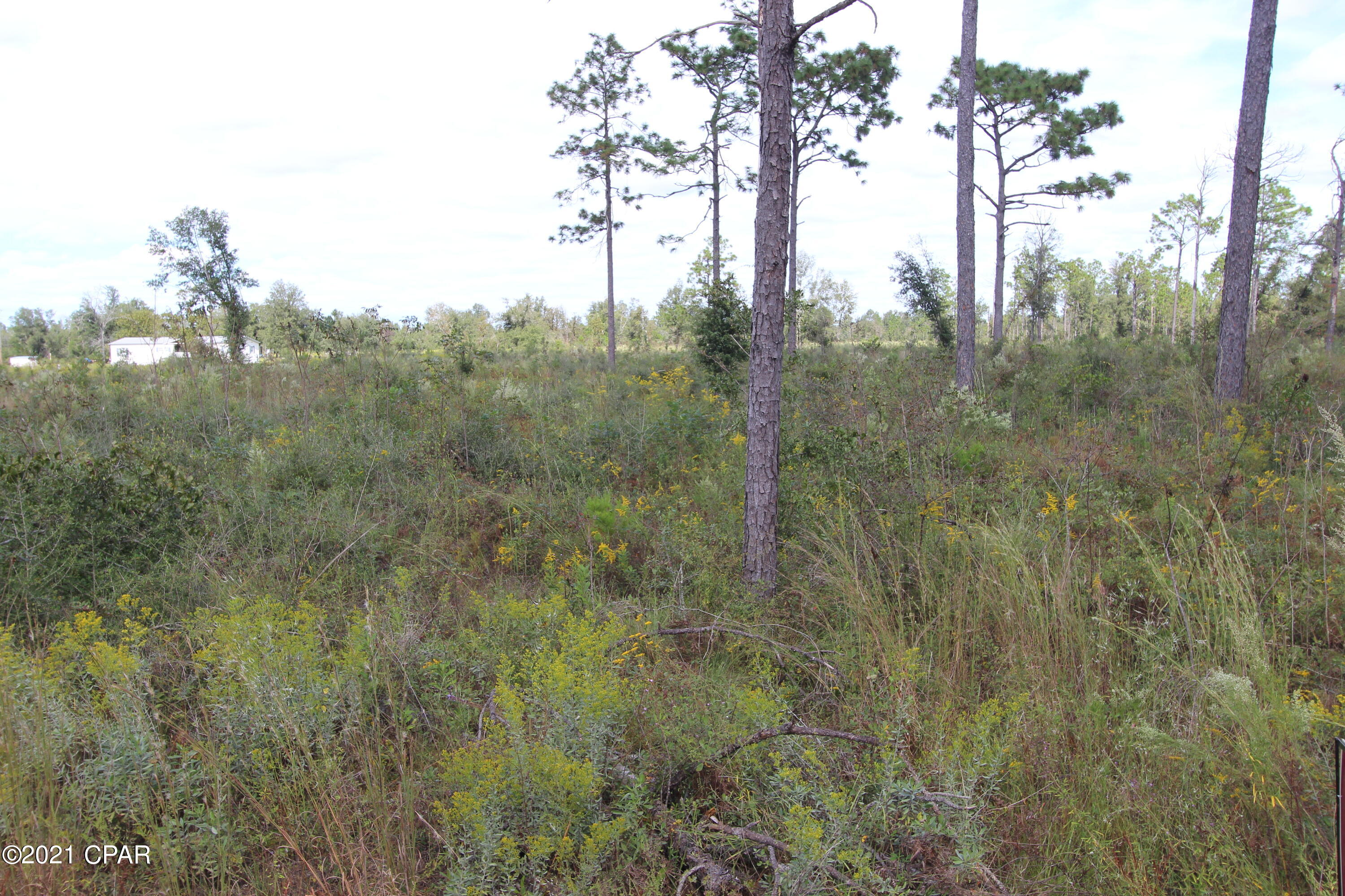 0 Rabbit Run Road Youngstown, FL 32466 - Photo 4 of 18 Gallery Image 4