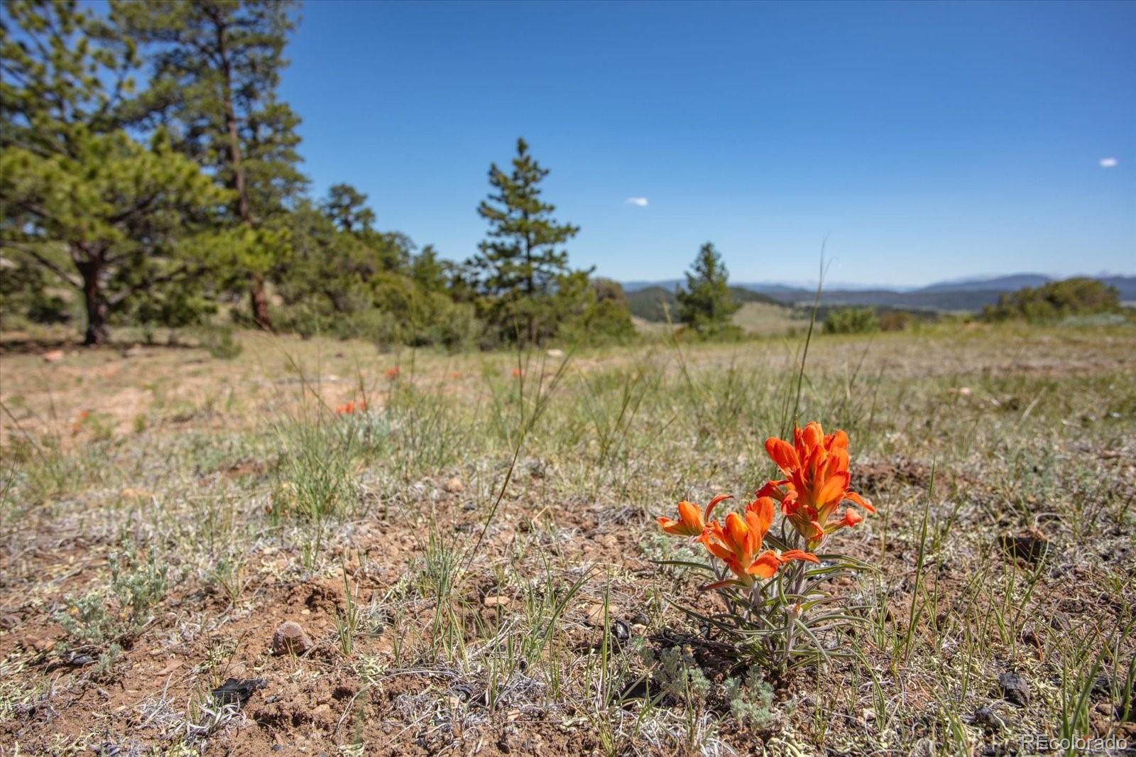 Castle Rock Road Hartsel, CO 80449 - Photo 30 of 45 Gallery Image 30