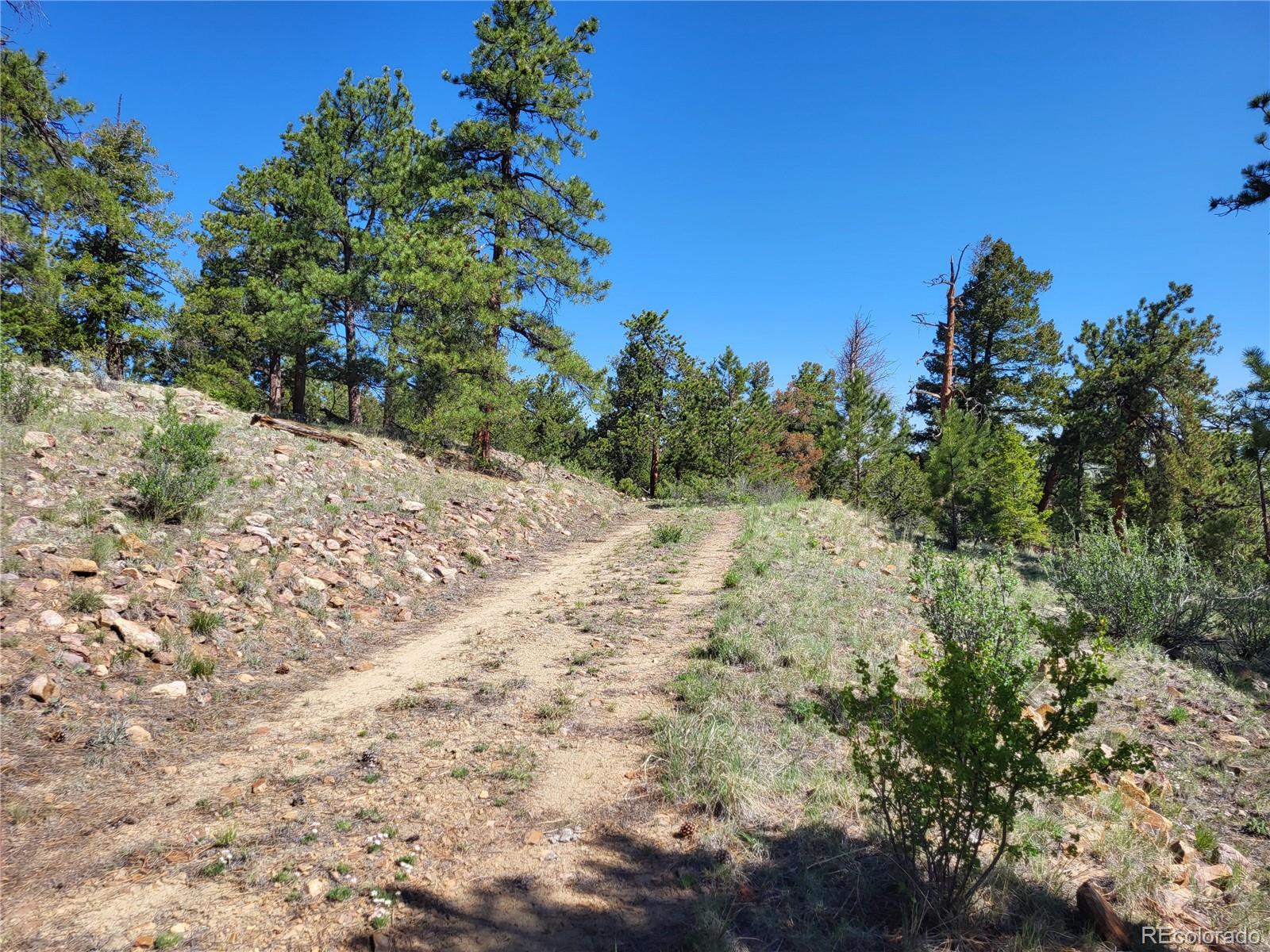 Castle Rock Road Hartsel, CO 80449 - Photo 41 of 45 Gallery Image 41